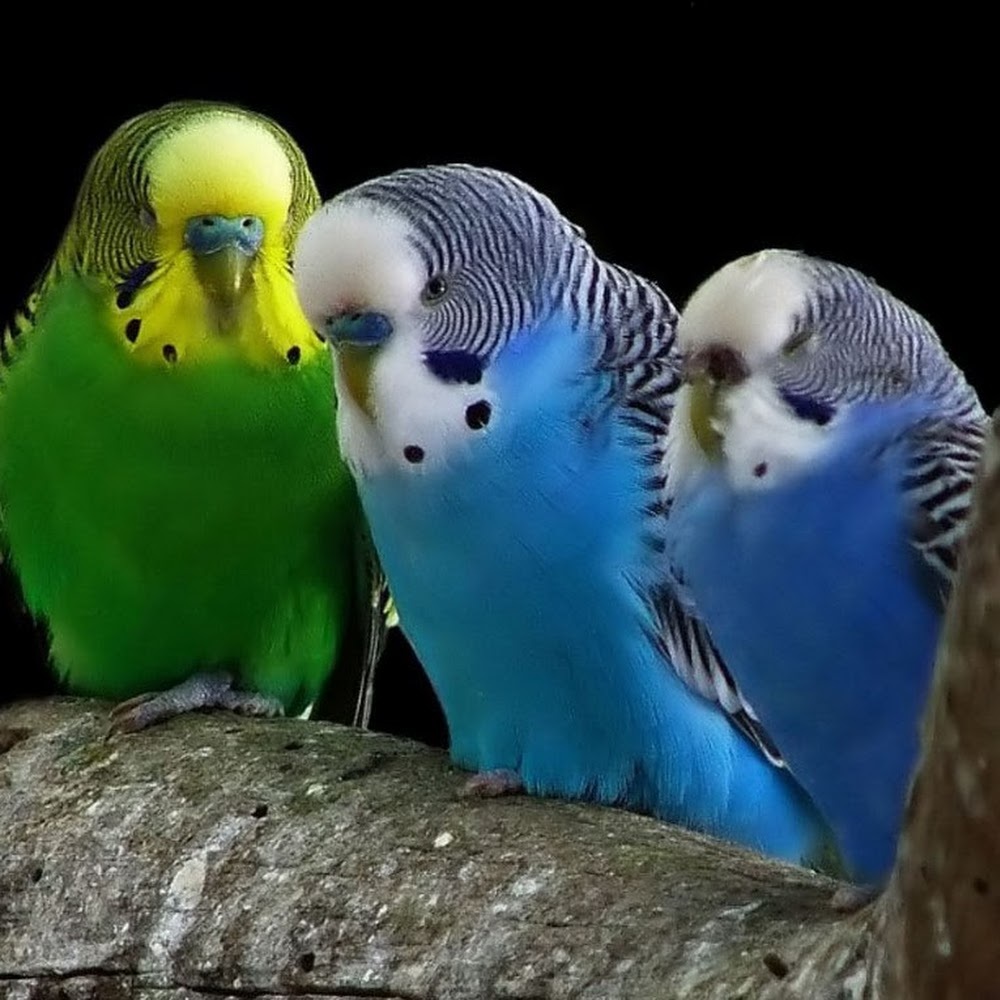 Meet your Posher, Kristina